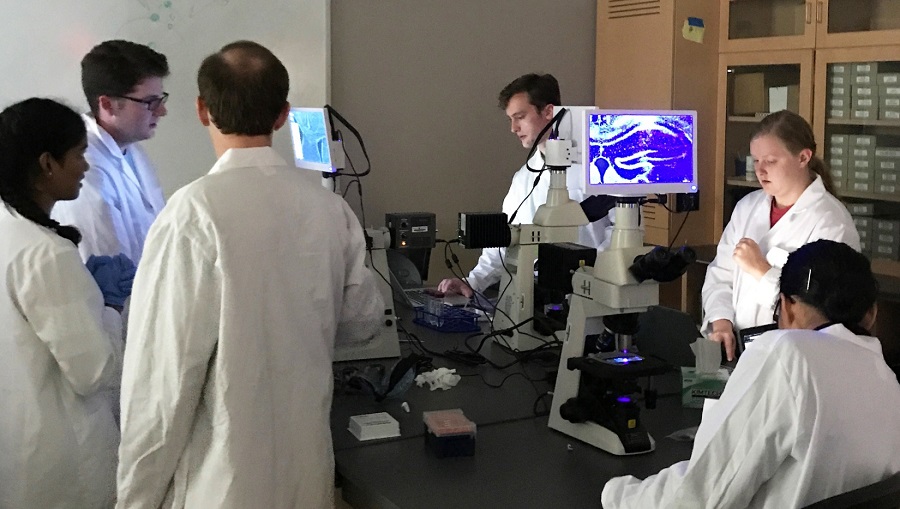 美国Lumencor多通道光源助力生物学领域的研究_美国Lumencor多通道光源助力生物学领域的研究_