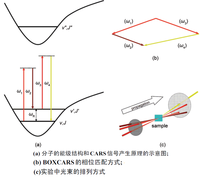 激光光谱检测_成像应用激光体检谱测器原理_