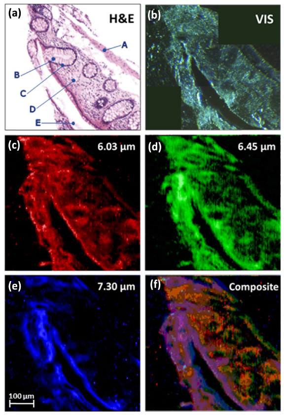 _红外光谱仪中激光器的作用_红外光谱的应用领域